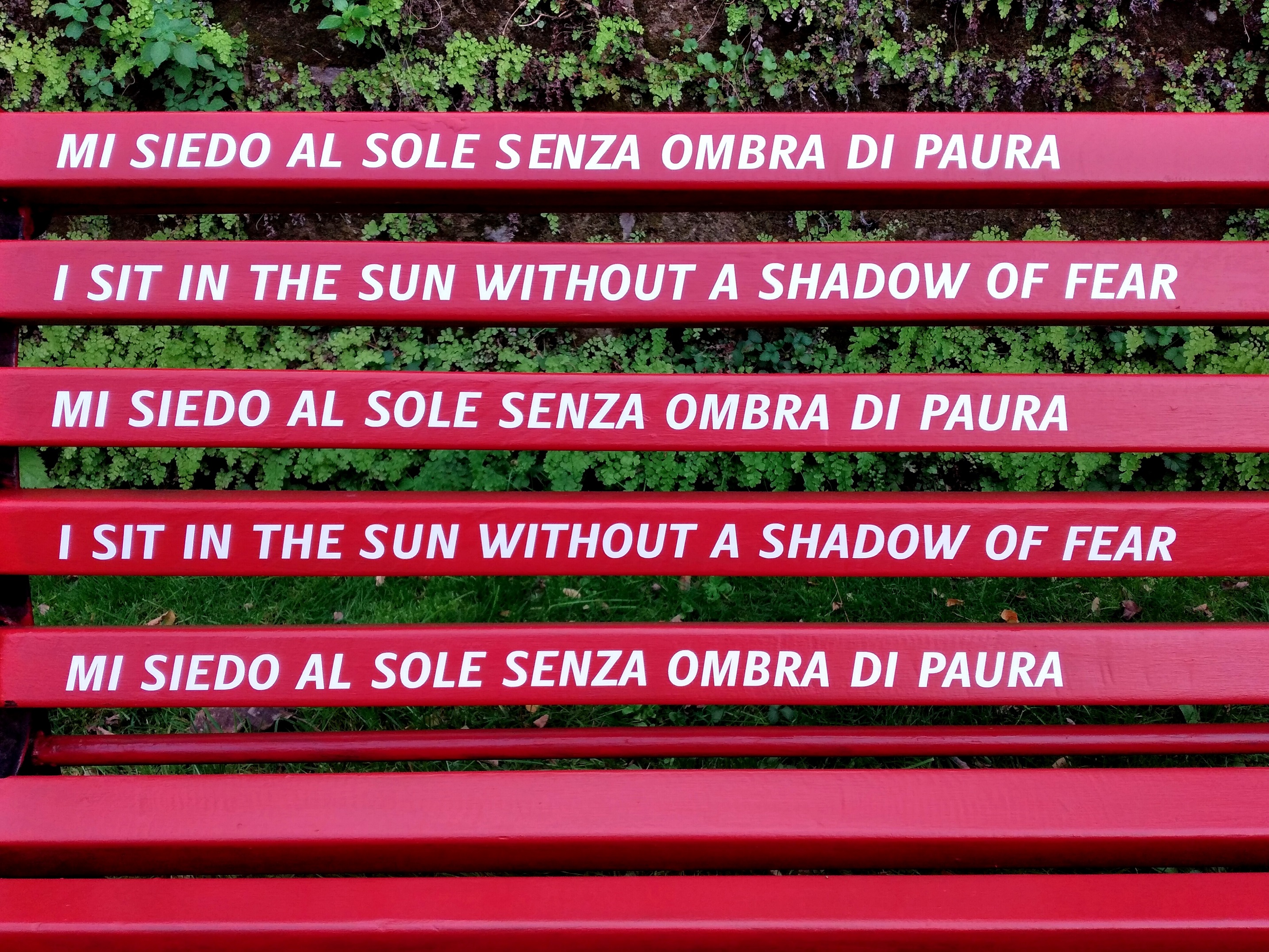 Giornata internazionale per l’eliminazione della violenza sulle donne - Biblioteca - panchina